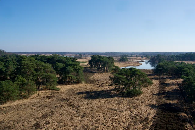 TTT-Uitzicht-D’n-Flaestoren-01