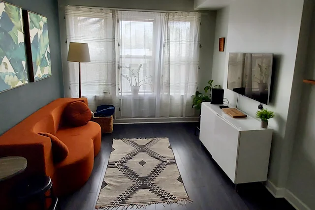TTT-Airbnb-Edgewater-Chicago-IL-06