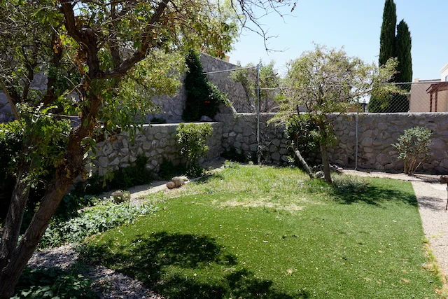 TTT-Airbnb-Las-Cruces-NM-08