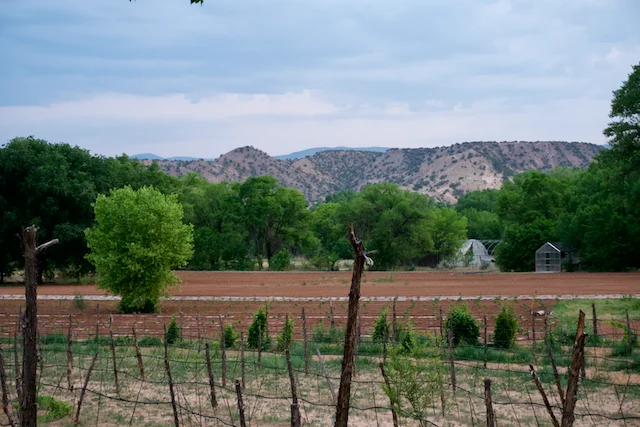 TTT-Airbnb-Medanales-NM-01