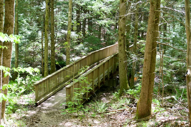 TTT-Bradbury-Mountain SP-Pownal-ME-05