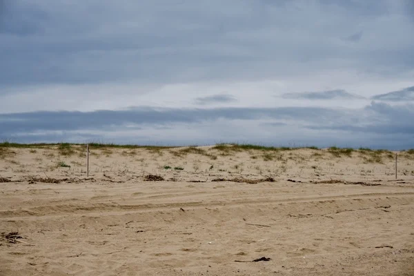 TTT-Cape-Cod-National-Seashore-03