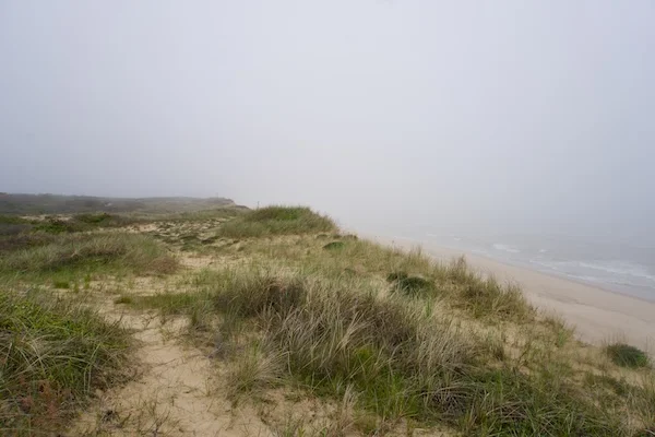 TTT-Cape-Cod-National-Seashore-05
