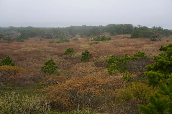 TTT-Cape-Cod-National-Seashore-07