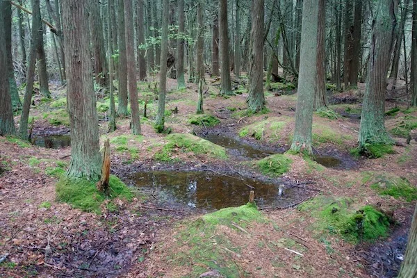 TTT-Cape-Cod-National-Seashore-09