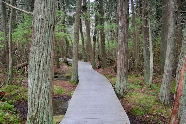 TTT-Cape-Cod-National-Seashore-11