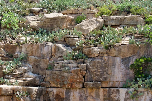 TTT-Carlsbad-Caverns-National-Park-02