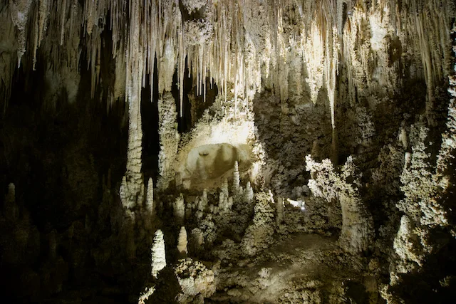 TTT-Carlsbad-Caverns-National-Park-13