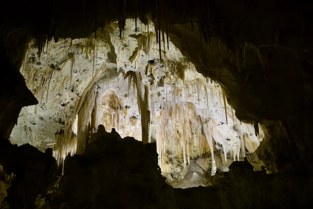 TTT-Carlsbad-Caverns-National-Park-19