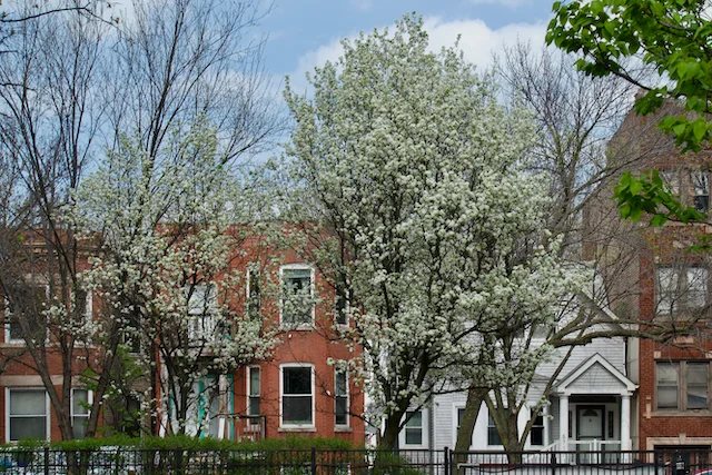 TTT-Edgewater-Chicago-IL-03