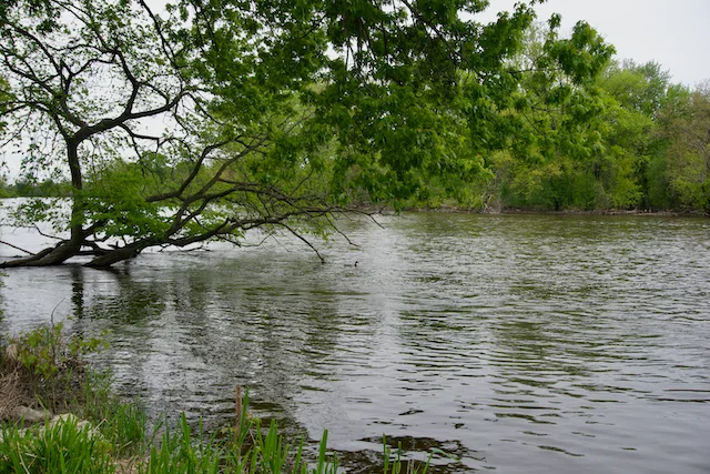 TTT-Fox-River-Trail-St-Charles-IL-08