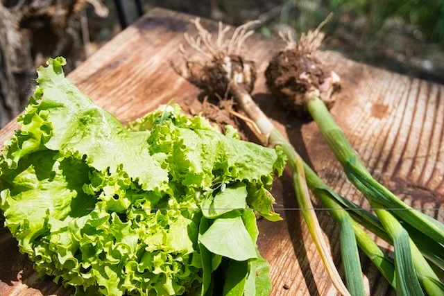 TTT-Fresh-Produce-Medanales-NM-01.