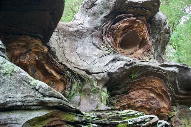 TTT-Garden-of-the-Gods-Shawnee-NF-02