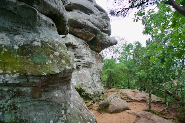TTT-Garden-of-the-Gods-Shawnee-NF-03
