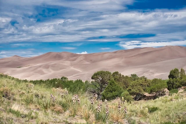 TTT-Great-Sand-Dunes-NP-04