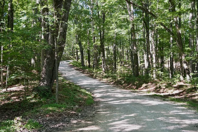 TTT-Hoosier-National-Forest-IN-02