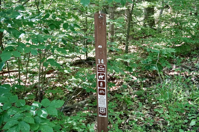 TTT-Hoosier-National-Forest-IN-03