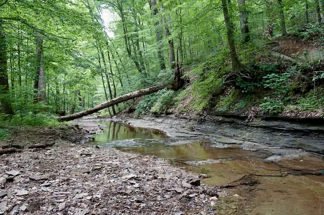 TTT-Hoosier-National-Forest-IN-05