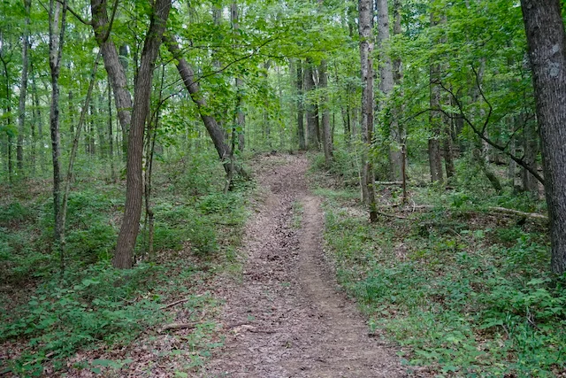 TTT-Hoosier-National-Forest-IN-07