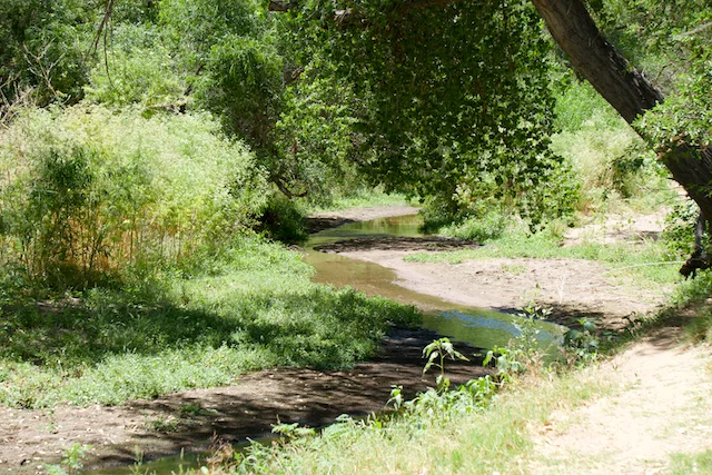 TTT-Juan-Bautista-de-Anza-Trail-02
