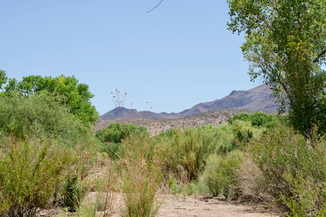 TTT-Juan-Bautista-de-Anza-Trail-09