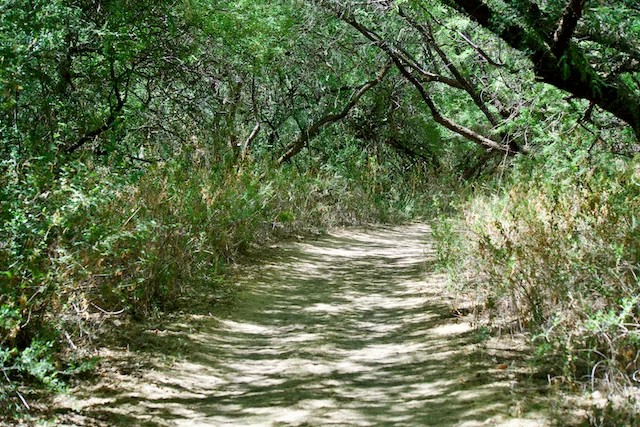 TTT-Juan-Bautista-de-Anza-Trail-10