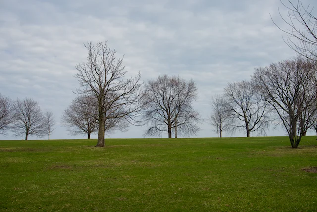 TTT-Lake-Front-Trail-02