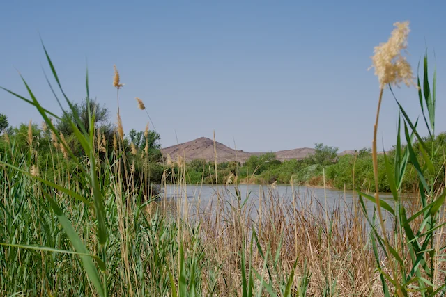 TTT-Leasburg-Dam-SP-03