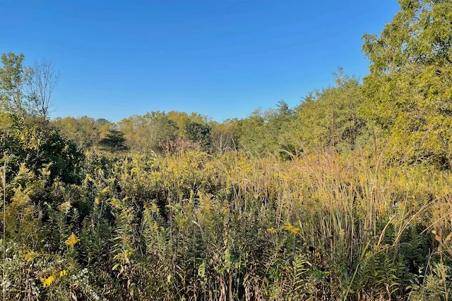 TTT-McDowell-Grove-Forest-Preserve-05