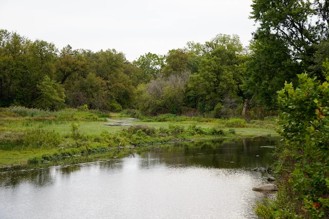 TTT-McDowell-Grove-Forest-Preserve-07