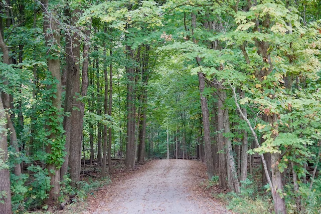 TTT-McDowell-Grove-Forest-Preserve-08