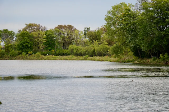 TTT-McDowell-Grove-Forest-Preserve-09