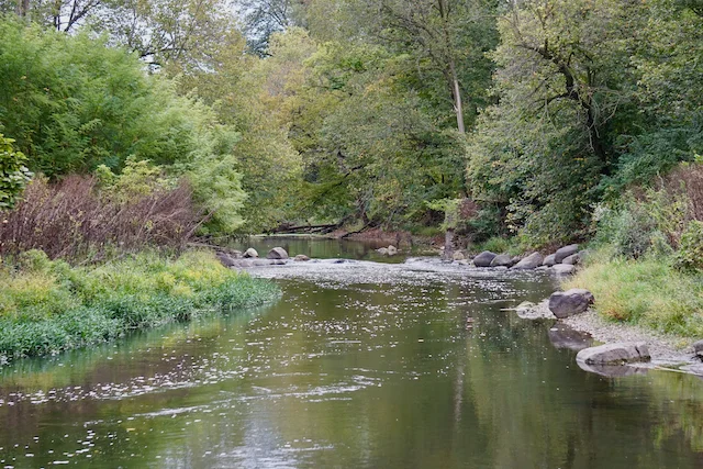 TTT-McDowell-Grove-Forest-Preserve-11