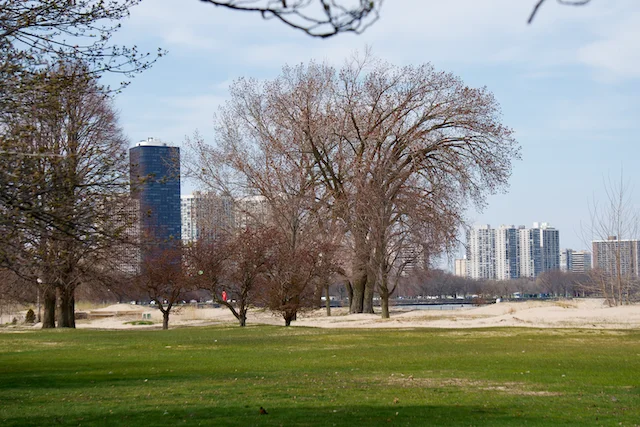 TTT-Montrose-Point-Bird-Sanctuary-Chicago-IL-01