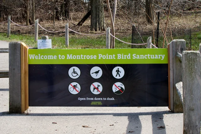 TTT-Montrose-Point-Bird-Sanctuary-Chicago-IL-02