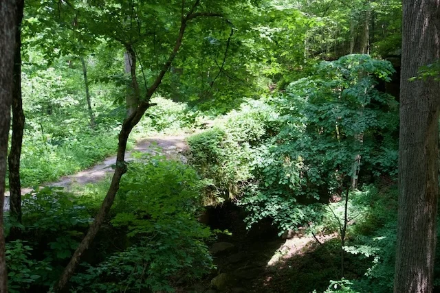 TTT-Pomona-Natural-Bridge-Shawnee-NF-03