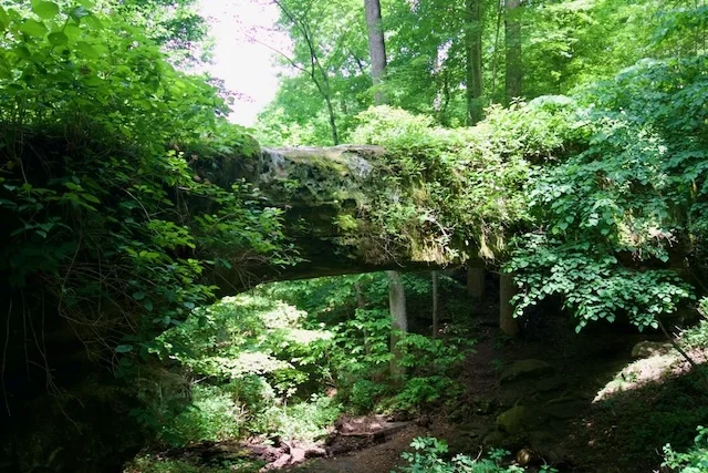 TTT-Pomona-Natural-Bridge-Shawnee-NF-05