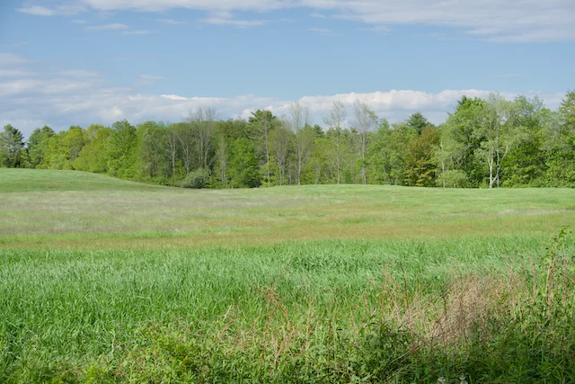 TTT-Running-Trail-Pownal-ME-03