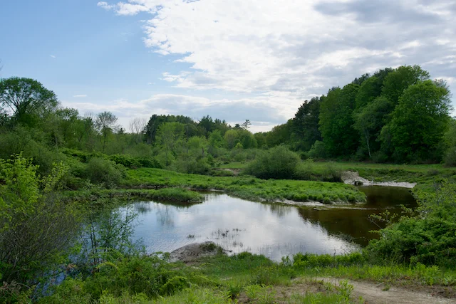 TTT-Running-Trail-Pownal-ME-07
