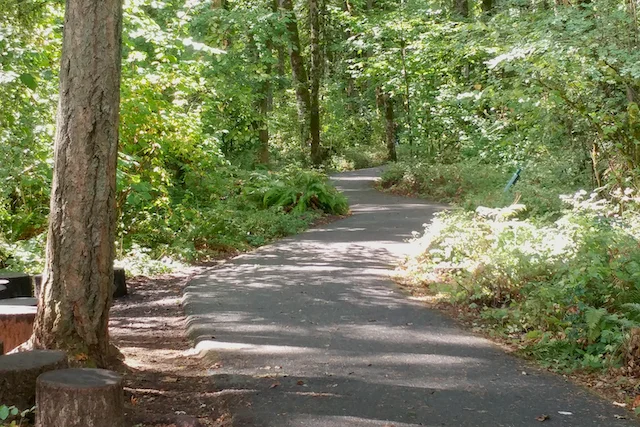 TTT-Tualatin-Hills-Nature-Park-02