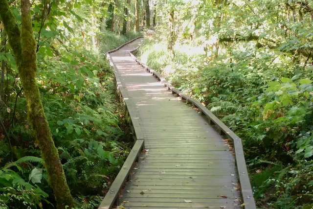 TTT-Tualatin-Hills-Nature-Park-04