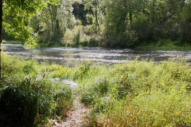 TTT-Tualatin-Hills-Nature-Park-06