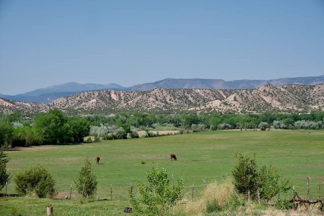 TTT-View-Medanales-NM-01