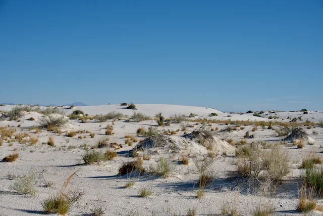 TTT-White-Sands-Dunes-NP-Alkali-Flat-01