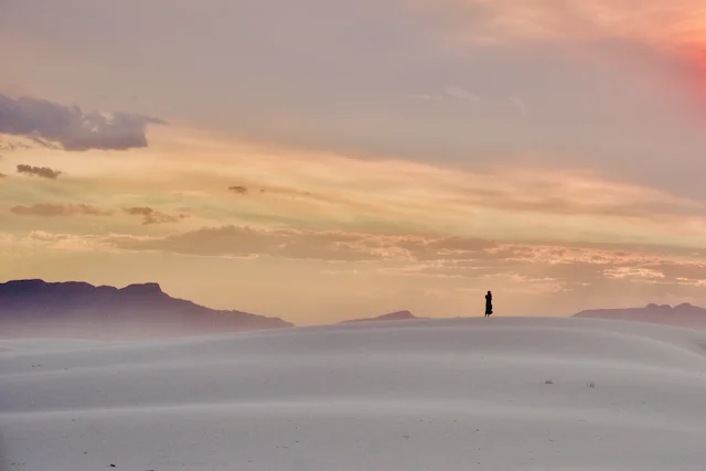 White-Sands-NP-Dune-Life-Nature-Trail-04