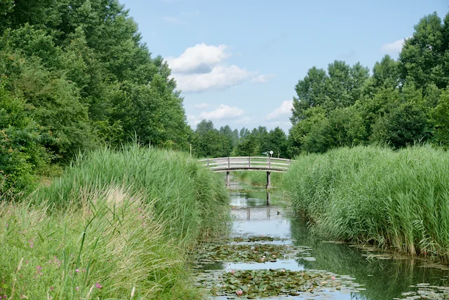 TTT-Máximapark-Utrecht-03