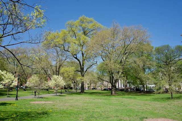 TTT-New-Haven-Green-01