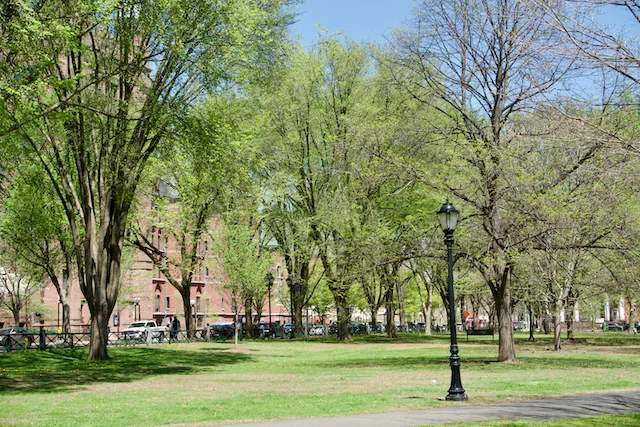 TTT-New-Haven-Green-04
