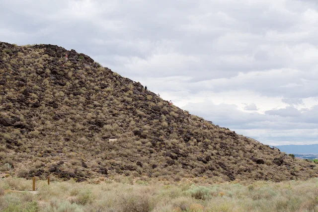 TTT-Petroglyph-NM-Boca-Negra-Canyon-04