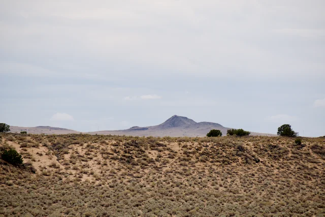 TTT-Petroglyph-NM-Piedras-Marcadas-Canyon-01